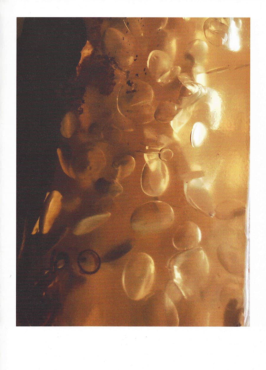 The Beginning of Forms - Laure Vigna — Things to Keep Refrigerated