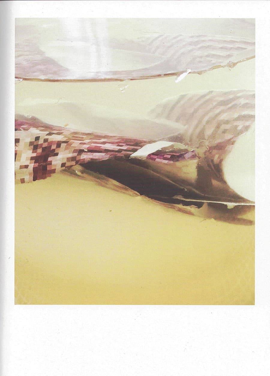 The Beginning of Forms - Laure Vigna — Things to Keep Refrigerated